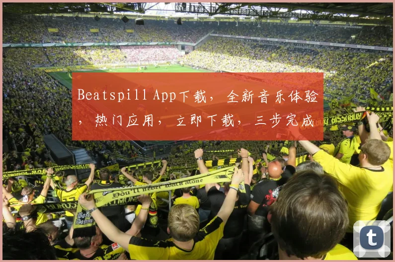 Beatspill App下载，全新音乐体验，热门应用，立即下载，三步完成