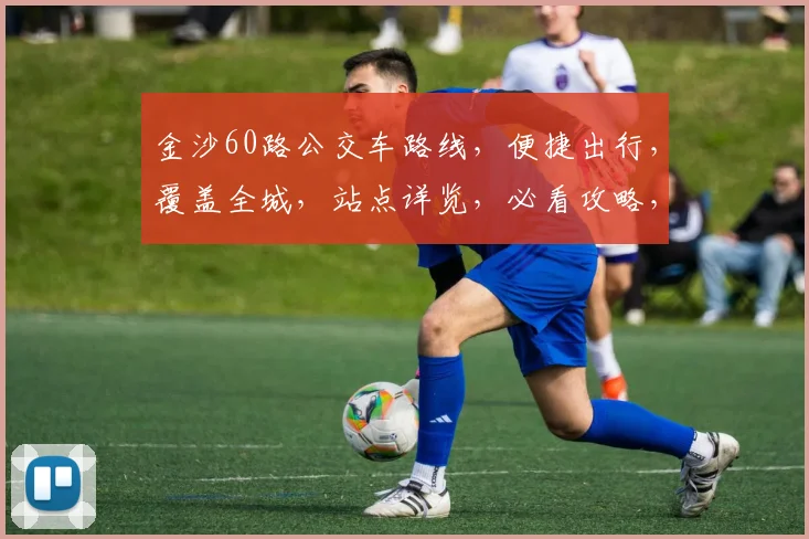 金沙60路公交车路线，便捷出行，覆盖全城，站点详览，必看攻略，轻松出行
