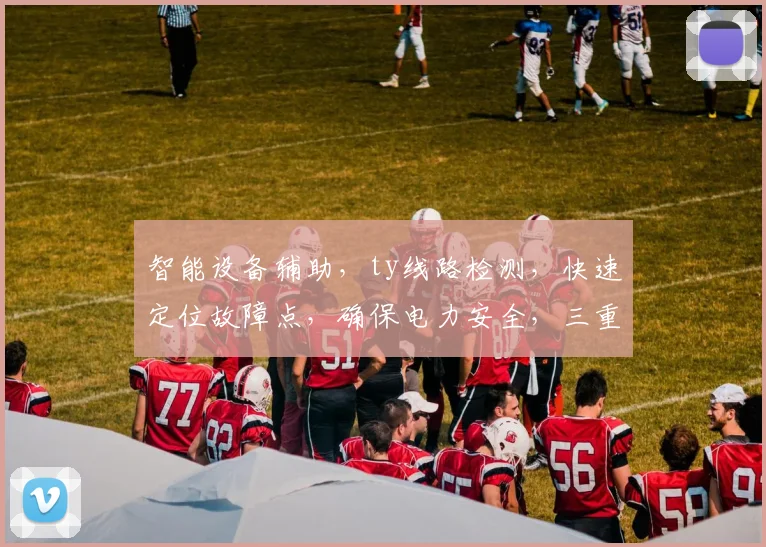 智能设备辅助，ty线路检测，快速定位故障点，确保电力安全，三重保障，专业可靠。