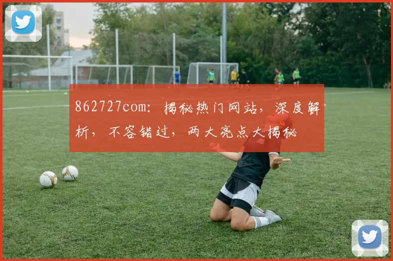 862727com：揭秘热门网站，深度解析，不容错过，两大亮点大揭秘