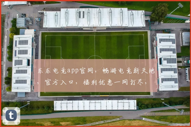 东东电竞app官网，畅游电竞新天地，官方入口，福利优惠一网打尽，必看三